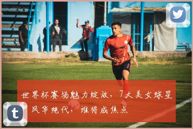 世界杯赛场魅力绽放，7大美女球星，风华绝代，谁将成焦点