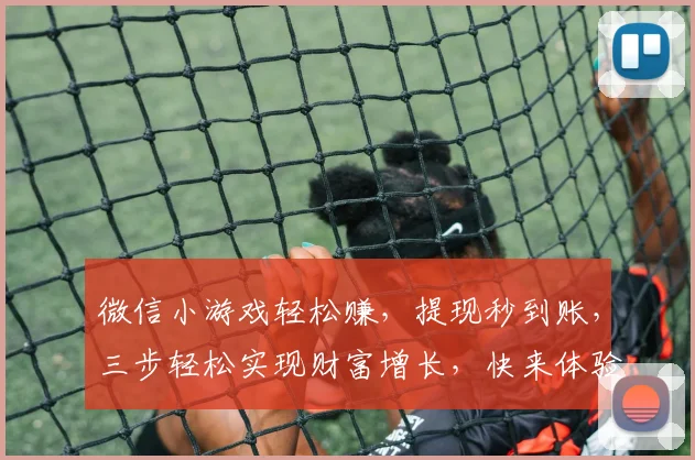 微信小游戏轻松赚，提现秒到账，三步轻松实现财富增长，快来体验
